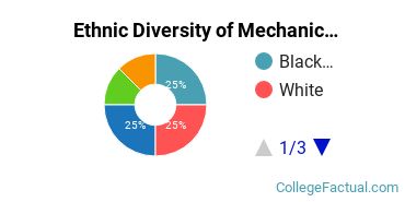 Ethnic Diversity of Mechanic & Repair Technologies Majors at Broward College