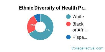 Ethnic Diversity of Health Professions Majors at Ross College-Hopkinsville