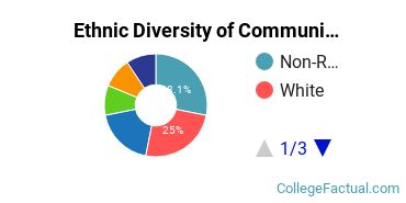 Ethnic Diversity of Communication & Media Studies Majors at Brown University