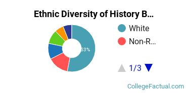 Ethnic Diversity of History Majors at Brown University