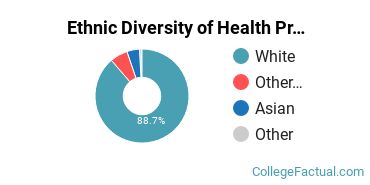 Ethnic Diversity of Health Professions Majors at Bryan College of Health Sciences