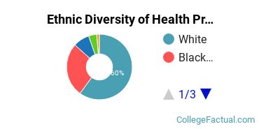 Ethnic Diversity of Health Professions Majors at Bryant & Stratton College - Buffalo