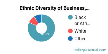 Ethnic Diversity of Business, Management & Marketing Majors at Bryant and Stratton College - Milwaukee