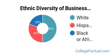 Ethnic Diversity of Business Support & Assistant Services Majors at Bryant & Stratton College - Online