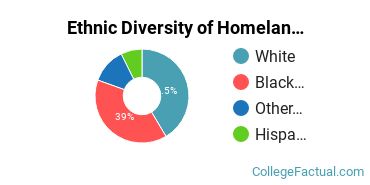 Ethnic Diversity of Homeland Security, Law Enforcement & Firefighting Majors at Bryant & Stratton College - Online