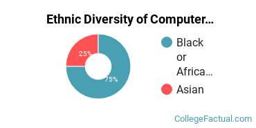Ethnic Diversity of Computer & Information Sciences Majors at Bryant & Stratton College - Virginia Beach