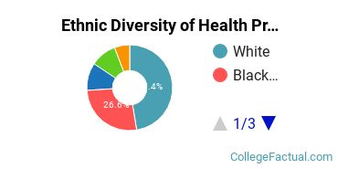 Ethnic Diversity of Health Professions Majors at Bryant and Stratton College - Wauwatosa