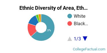 Ethnic Diversity of Area, Ethnic, Culture, & Gender Studies Majors at Bucknell University