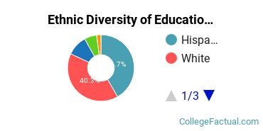 Ethnic Diversity of Education Majors at California Baptist University