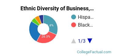Ethnic Diversity of Business, Management & Marketing Majors at California Miramar University