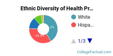 Ethnic Diversity of Health Professions Majors at California State University - Chico