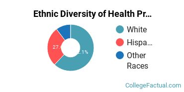 Ethnic Diversity of Health Professions Majors at California State University - Chico