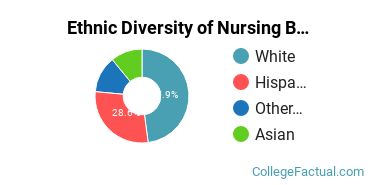 Ethnic Diversity of Nursing Majors at California State University - Chico
