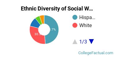 Ethnic Diversity of Social Work Majors at California State University - Chico