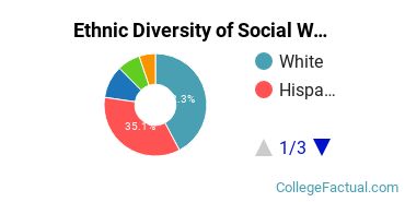 Ethnic Diversity of Social Work Majors at California State University - Chico