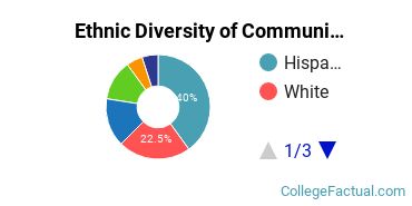 Ethnic Diversity of Communication Sciences Majors at California State University - East Bay