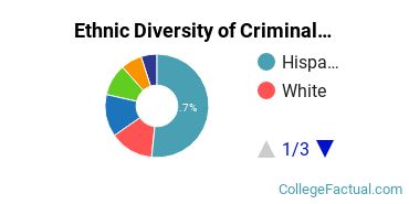 Ethnic Diversity of Criminal Justice & Corrections Majors at California State University - East Bay