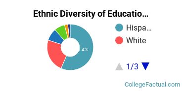 Ethnic Diversity of Education Majors at California State University - Fresno