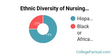 Ethnic Diversity of Nursing Majors at California State University - San Bernardino