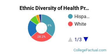 Ethnic Diversity of Health Professions Majors at California State University - Stanislaus