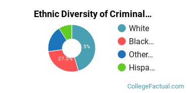 Ethnic Diversity of Criminal Justice & Corrections Majors at Campbell University