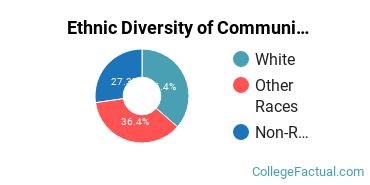 Ethnic Diversity of Communication & Journalism Majors at Campbellsville University