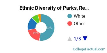 Ethnic Diversity of Parks, Recreation, Leisure, & Fitness Studies Majors at Campbellsville University
