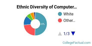 Ethnic Diversity of Computer & Information Sciences Majors at Capella University