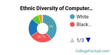 Ethnic Diversity of Computer & Information Sciences Majors at Capella University