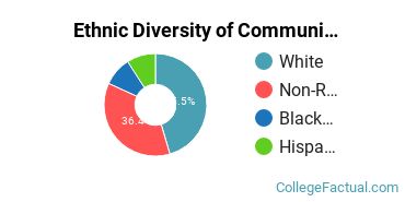 Ethnic Diversity of Communication & Journalism Majors at Cardinal Stritch University