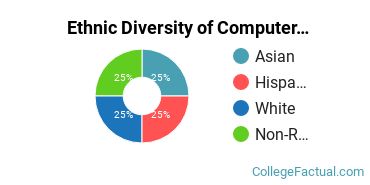 Ethnic Diversity of Computer & Information Sciences Majors at Cardinal Stritch University