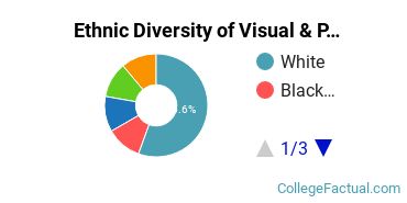 Ethnic Diversity of Visual & Performing Arts Majors at Cardinal Stritch University