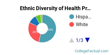 Ethnic Diversity of Health Professions Majors at Career College of Northern Nevada