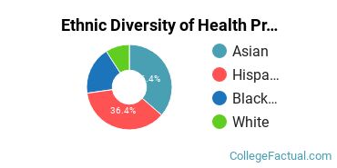 Ethnic Diversity of Health Professions Majors at Career Networks Institute