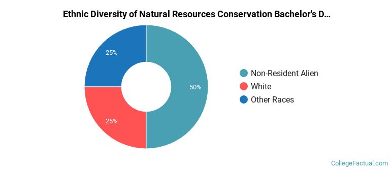 Ethnic diversity of Natural Resources Conservation majors at Carnegie Mellon University