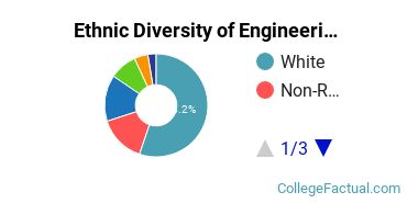 Ethnic Diversity of Engineering Majors at Case Western Reserve University