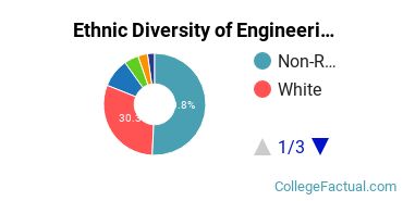 Ethnic Diversity of Engineering Majors at Case Western Reserve University