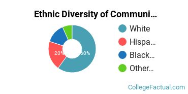 Ethnic Diversity of Communication & Journalism Majors at Catawba College