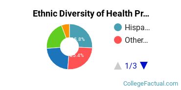 Ethnic Diversity of Health Professions Majors at CBD College