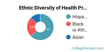Ethnic Diversity of Health Professions Majors at College of Business and Technology-Cutler Bay