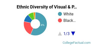 Ethnic Diversity of Visual & Performing Arts Majors at Centenary University
