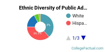 Ethnic Diversity of Public Administration & Social Service Majors at Central Connecticut State University