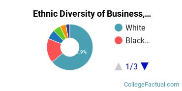 Ethnic Diversity of Business, Management & Marketing Majors at Central Michigan University