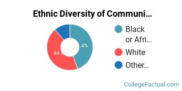 Ethnic Diversity of Communication & Journalism Majors at Central Penn College