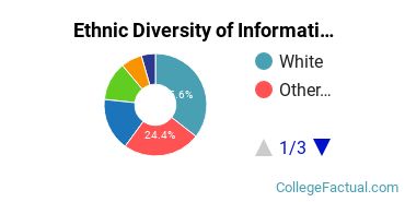 Ethnic Diversity of Information Technology Majors at Central Washington University
