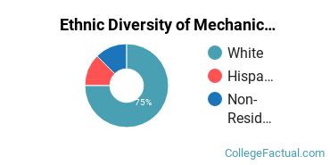 Ethnic Diversity of Mechanic & Repair Technologies Majors at Centralia College