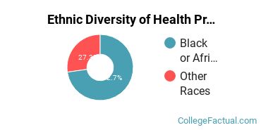 Ethnic Diversity of Health Professions Majors at Centura College - Richmond Main
