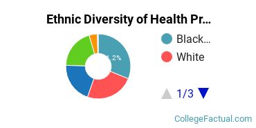 Ethnic Diversity of Health Professions Majors at Chamberlain University - Texas