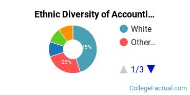 Ethnic Diversity of Accounting Majors at Charleston Southern University