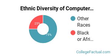 Ethnic Diversity of Computer & Information Sciences Majors at Chicago State University